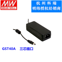 GST40A48 A24 A18 A15 A12 A09 A07 A05-P1J 40W Meanwell power adapter