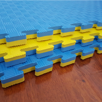 Factory promotion taekwondo mat 2 0 3 0 thick non-slip dance martial arts mat