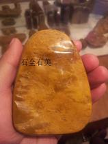 The treasured first-choice TH362 of Huangzhi Kuroda of Shikemata