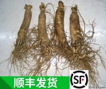 Fresh-preserving Ginseng with soil ginseng Changbai Mountain ginseng freshly unearthed ginseng fresh ginseng fresh ginseng