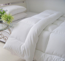 Hospital bedding velvet autumn and winter thickened silk quilt quilt