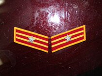 Type 58 Army Cadet Collar Badge