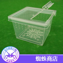 Pet feeding box Climbing pet feeding box Spider centipede centipede horned frog feeding box Reptile feeding box Reptile box