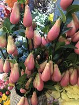 Home decoration template room arranged single simulation fruit branch landing porch lay a simple fashion fruit