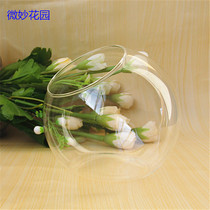 Micro landscape oblique mouth glass bottle succulent plant micro landscape oblique mouth vase moss green plant landscape container ecological bottle