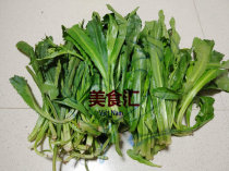 Fresh coriander 200g wild olive oil spices pseudo-thyme.