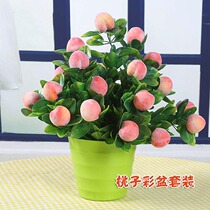 Simulation bonsai plant Indoor flower potted fruit tree fruit set Office decoration living room decoration fake floral art