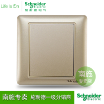 Schneider Blank Panel Blind Board Switching Power Socket Whiteboard Darkbox Bezel cover plate Wise Gold