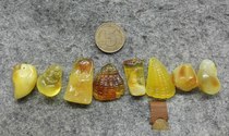 Beeswax Small Carving Piece Small Pendant See the comparison chart for the size of which one do you want to take 2