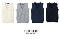 Japanese substitute for ceclie undershirt JK school uniform sailor uniform V-collar knitted vest your name