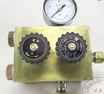 YQD 13 nitrogen pressure reducer valve pressure reducer dan qi biao pressure gauge pressure regulator Shanghai reducer factory