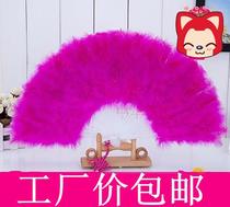 Dance fan Feather fan 28 pieces Fan Feather fan fan Dance fan fan