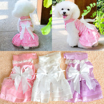 Clear Pet Clothing Clothing Dress Lace Dress Downdress Teddy Bomejie Doll Princess Small Down Dress