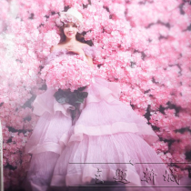 Embroidered Flowers Simulation Flowers Shadow Building Wedding photography Photography Props Fake Flowers Photo Background Wall Real Scenery Decoration Solid Flower Wall