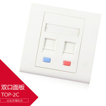 Original German TOPRONET dual-port panel Voice computer panel IP phone panel