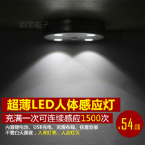 LED Induction Wardrobe Light Lithium Battery Charging Cabinet Light Wine Cabinet LED Induction Lights Small Night Light Fashion