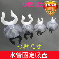 Fixed suction cup trachea water pipe fixed suction cup fish tank aquarium oxygen pump water pump hose thermometer suction cup