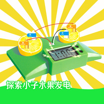 Small toys Exploration kid science toys Science experiment toys EKD003 Fruit power generation learning experiment toy