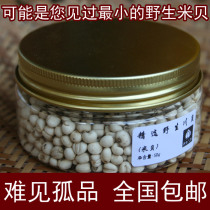 Fritillary Home solo direct sales Mibei wild Chuanbei pine shell rice Chuanbei mother Chinese herbal medicine 50g