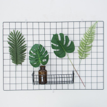 Nordic ins home interior simulation still life photo props Leaf turtle back leaf flower arrangement decorative flower creative swing shot