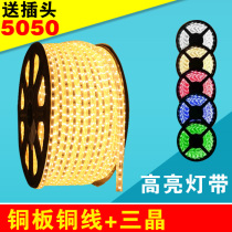 LED light strip waterproof 220v dimmable light strip light string color eye protection Living room ceiling dark slot counter City lighting