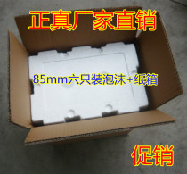 85mm six 6pcs red wine foam box with carton wholesale custom wine packaging box foam board high density