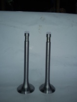 Binhu diesel engine single cylinder air-cooled 175 180 valve Binhu Bin Chai Dragon Boat Zhengbin Peach blossom king