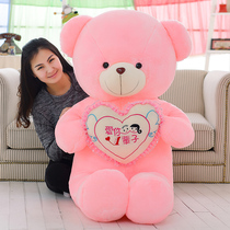 Teddy bear Ragdoll Big bear plush toy Bear cat doll doll Birthday gift girl pillow hug bear