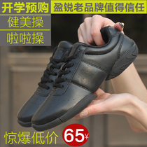 Competitive cheerleading shoes training competition Shoes dance shoes adult soft bottom white bodybuilding shoes Womens Classic