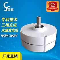 Magnet rare earth permanent magnet generator high efficiency 100W200W12V24V wind turbine custom factory direct sales