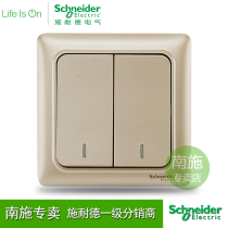 Schneider Electric 2 open second two duplex single control wall power switch socket panel 10A wise gold