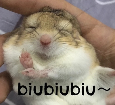 好穿哈哈哈哈哈哈哈哈哈健身紧身裤穿的。不会留痕迹。很方便哈哈哈哈哈哈哈哈哈 你真好,我太喜欢你了,我可要一直喜欢下去,你让我哭的话我就擦干了眼泪再来喜欢你,总之不要去找别人,在喜欢你这件事上,谁也不会有我这么认真。 好穿哈哈哈哈哈哈哈哈哈健身紧身裤穿的。不会留痕迹。很方便哈哈哈哈哈哈哈哈哈 你真好,我太喜欢你了,我可要一直喜欢下去,你让我哭的话我就擦干了眼泪再来喜欢你,总之不要去找别人,在喜欢你这件事上,谁也不会有我这么认真。 