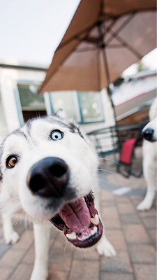 听说好评必须85字？不然没有积分？那么问题来了，怎么样才可以达到85字呢？这个问题在我的脑海里久久不去。马云爸爸怎么可以这样欺负我？不给我买冰阔洛也就算了，还让我一个二年级的小学生评论一定要写85字，哼！好过分啊，一定要记在小本本上！￣へ￣