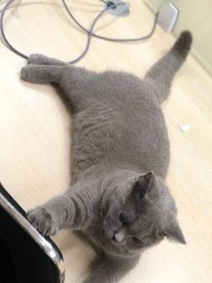 满意满意满意满意满意满意满意满意满意满意满意满意满意满意满意满意满意满意满意满意满意满意满意满意满意满意满意满意满意满意满意满意满意满意满意满意满意满意满意满意满意满意满意满意满意满意满意满意满意满意满意满意满意满意满意满意满意满意满意满意满意满意满意满意满意满意满意满意满意满意满意满意 满意满意满意满意满意满意满意满意满意满意满意满意满意满意满意满意满意满意满意满意满意满意满意满意满意满意满意满意满意满意满意满意满意满意满意满意满意满意满意满意满意满意满意满意满意满意满意满意满意满意满意满意满意满意满意满意满意满意满意满意满意满意满意满意满意满意满意满意满意满意满意满意