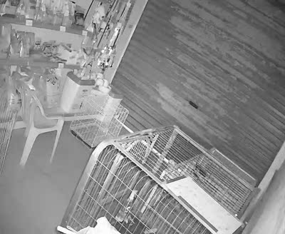 目前看来沃仕达摄像头怎么样,质量差不差呢，亲身使用经历曝光