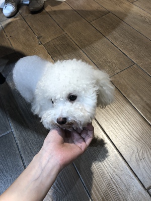 平常穿s 但是这个s肚子最下面那个扣子太紧了 不能呼吸 衣服不太值这个价 也不是牛仔面料 不过款式好就行