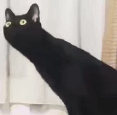 穿着舒适非常满意,就是需要买大一码刚刚好。 穿着舒适非常满意,就是需要买大一码刚刚好。