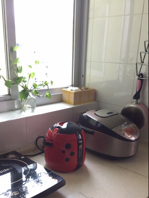 讨论优雪YX-1220B电饭煲怎么样,优雪好不好呢,用后反馈