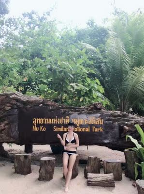 穿起来的效果不错，美美的，物流挺快的，好评！