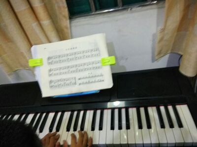 分析壹枱电子琴怎么样,曝光了是真假,通过三个月使用看真相