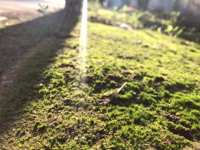 蕾丝质量很好 造型也很好看 第一次买这种款的内衣 很喜欢 蕾丝质量很好 造型也很好看 第一次买这种款的内衣 很喜欢