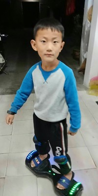 如何评价领奥电动扭扭车怎么样,拉风吗?电池会不会很不耐用?