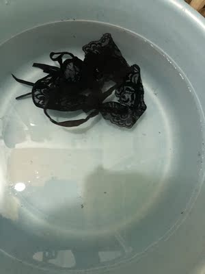 下午到，我拿来洗，结果是这样，这种内裤你们敢穿吗