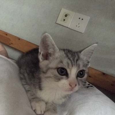 啊啊啊啊啊啊啊啊啊啊啊啊啊啊啊啊啊啊啊啊啊啊啊啊啊啊啊呀啊啊啊啊啊啊啊啊啊啊啊啊啊啊啊啊啊啊啊啊啊啊啊啊啊啊啊呀啊啊啊啊啊啊啊啊啊啊啊啊啊啊啊啊啊啊啊啊啊啊啊啊啊啊啊呀啊啊啊啊啊啊啊啊啊啊啊啊啊啊啊啊啊啊啊啊啊啊啊啊啊啊啊呀啊啊啊啊啊啊啊啊啊啊啊啊啊啊啊啊啊啊啊啊啊啊啊啊啊啊啊呀 啊啊啊啊啊啊啊啊啊啊啊啊啊啊啊啊啊啊啊啊啊啊啊啊啊啊啊呀啊啊啊啊啊啊啊啊啊啊啊啊啊啊啊啊啊啊啊啊啊啊啊啊啊啊啊呀啊啊啊啊啊啊啊啊啊啊啊啊啊啊啊啊啊啊啊啊啊啊啊啊啊啊啊呀啊啊啊啊啊啊啊啊啊啊啊啊啊啊啊啊啊啊啊啊啊啊啊啊啊啊啊呀啊啊啊啊啊啊啊啊啊啊啊啊啊啊啊啊啊啊啊啊啊啊啊啊啊啊啊呀