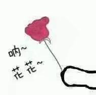 系统默认评论 系统默认评论