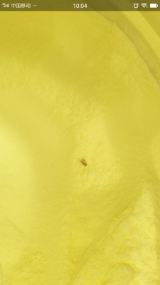 奶粉质地: 不好 结块我女儿吃了拉肚子 消化: 不消化 有效期: 一般 外包装: 可以 收货时长: 1天 总结: 开罐有虫子 客服没有明确的处理方式 女儿吃了拉肚子 拉了一个礼拜