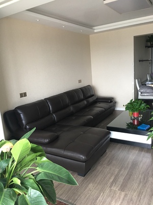 大家谈谈左右真皮沙发怎么样,名星家里选的也是这沙吗