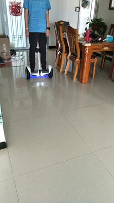 傲凤 平衡车儿童双轮电动扭扭车智能漂移车两轮成人代步车思维车