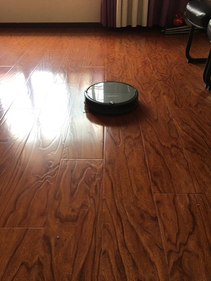 火爆的揭秘小瓦扫地机器人怎么样，小瓦扫地机器人规划版评测