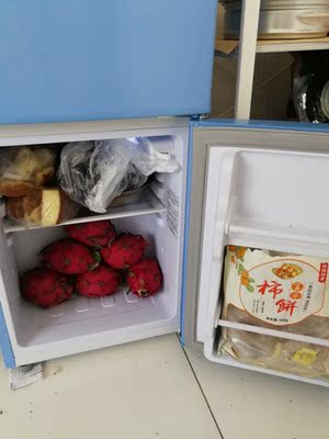 FRESTECH/新飞 BCD-108YD小冰箱L家用宿舍双开门冷藏冻小型电冰箱